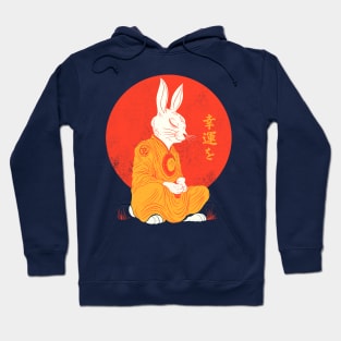 good luck rabbit Hoodie